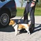 Trixie Auto-Geschirr XS, schwarz Vorschaubild