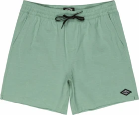 Billabong Every Other Day Badeshorts moss (Herren)