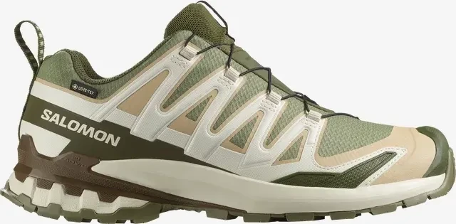 Salomon XA Pro 3D V9 GTX deep lichen green/safari/dark earth (Herren)