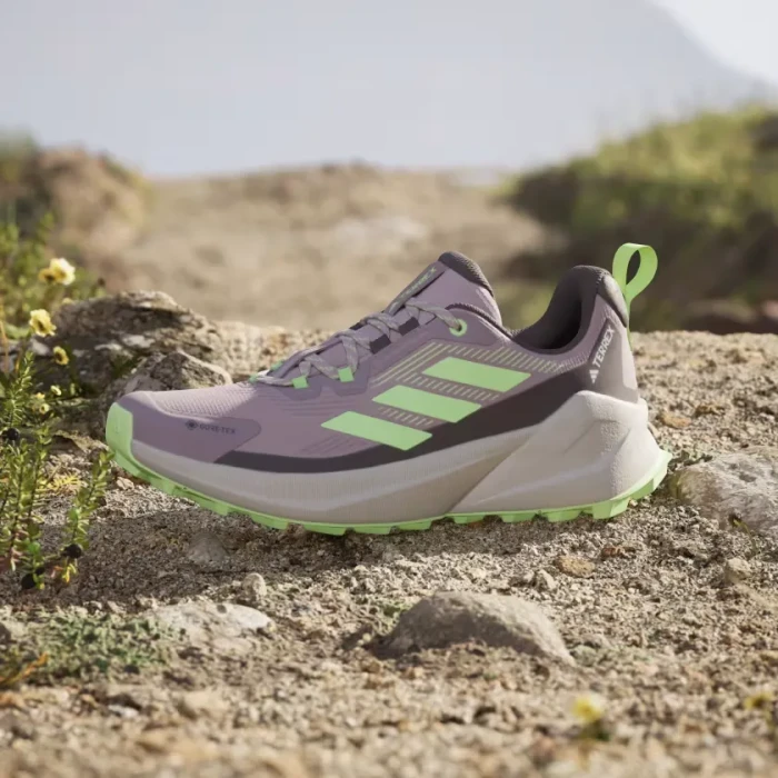 adidas Terrex Trailmaker 2.0 GTX preloved fig/green spark/charcoal (Damen)