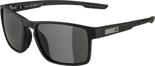 Alpina Stream midnight grey matt/mirror purple
