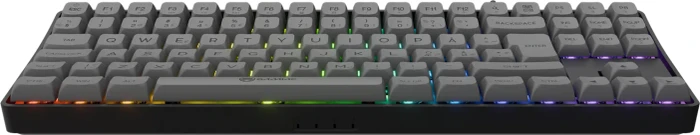 Gamiac TKL90G Gaming Keyboard, schwarz/grau, LEDs RGB, Kailh BLUE, USB, ND