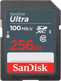SanDisk Ultra Lite R100 256GB, UHS-I U1, Class 10