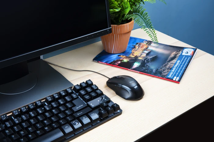 Trust Voca Comfort Mouse schwarz, USB