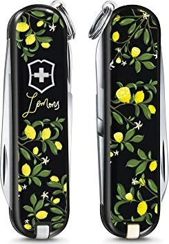Victorinox Classic Limited Edition 2019 Taschenmesser