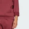 adidas Trefoil Essentials Hoodie shadow red (Herren) Vorschaubild