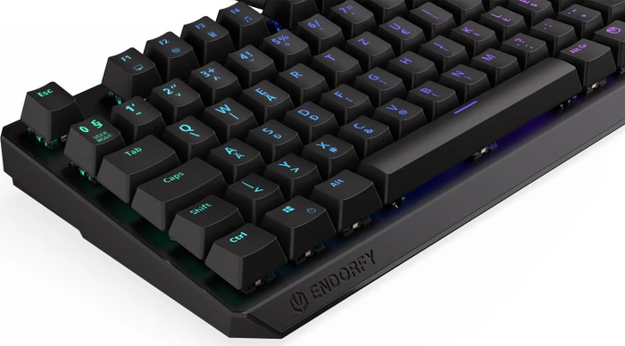 Endorfy Thock TKL, LEDs RGB, Kailh RED, USB, HU