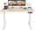 Maidesite S2 Pro Plus elektrisch höhenverstellbarer Sitz-Steh-Schreibtisch 120x60cm Eiche/weiß