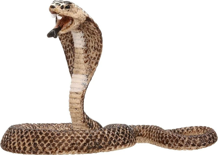 Schleich Wild Life - Kobra