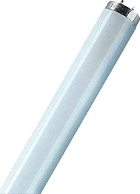 Osram Lumilux T8 L 36W/840 G13