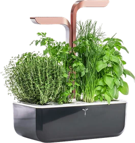 Veritable Smart Indoor schwarz/kupfer