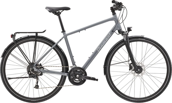 Diamant Elan Deluxe graphit grau Modell 2021 (Herren)