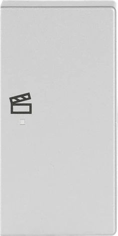 Busch-Jaeger Wippe 2-fach mit Symbol "Szene", alusilber