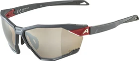 Alpina Twist Six Q midnight grey matt/silver mirror