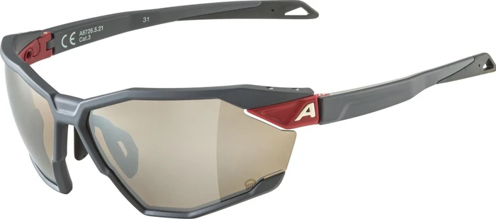 Alpina Twist Six Q midnight grey matt/silver mirror