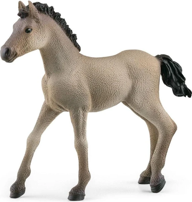 Schleich Horse Club - Criollo Definitivo Fohlen
