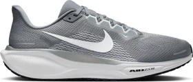 Nike Pegasus 41 cool grey/wolf grey/pure platinum/white (Herren)