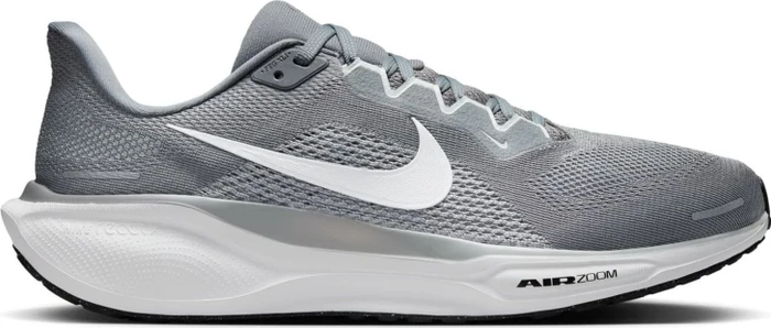 Nike Pegasus 41 cool grey/wolf grey/pure platinum/white (Herren)