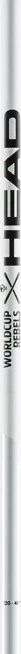 Head Worldcup Rebels Carbon Race Alpin Skistock (Modell 2023/2024)