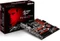 ASRock Fatal1ty Z77 Performance (Intel 1155) Vorschaubild