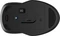 HP 255 Dual Mode Wireless Mouse, schwarz, USB/Bluetooth Vorschaubild