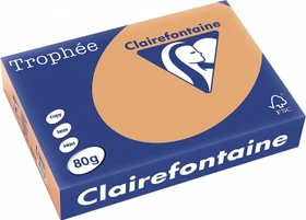 Clairefontaine Trophée Universalpapier matt karamell, A4, 80g/m², 500 Blatt