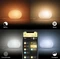 Philips Hue White and Color Ambiance Flourish Tischleuchte Vorschaubild