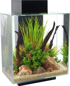 Fluval Edge 2.0 Aquarium-Set, schwarz, 46l