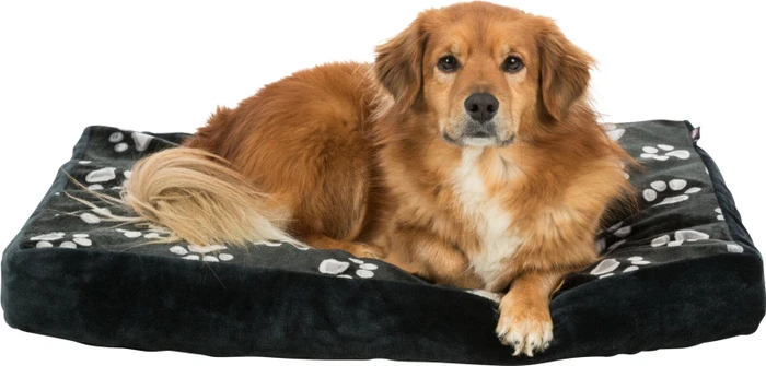 Trixie Kissen Jimmy, 80x55cm, schwarz