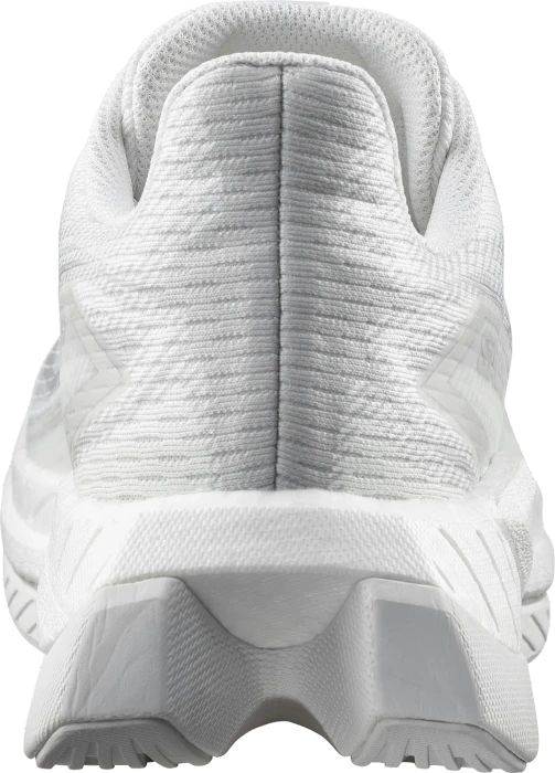 Salomon Spectur 3 white/lunar rock (Herren)