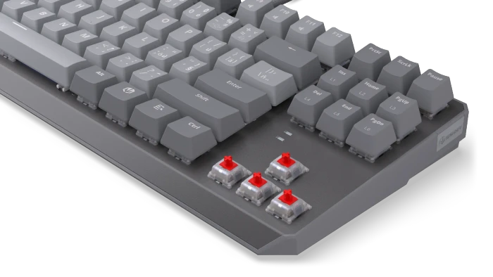 Endorfy Thock V2 TKL, PBT, grau, LEDs RGB, hot-swap, Endorfy RED, USB, CZ/SK