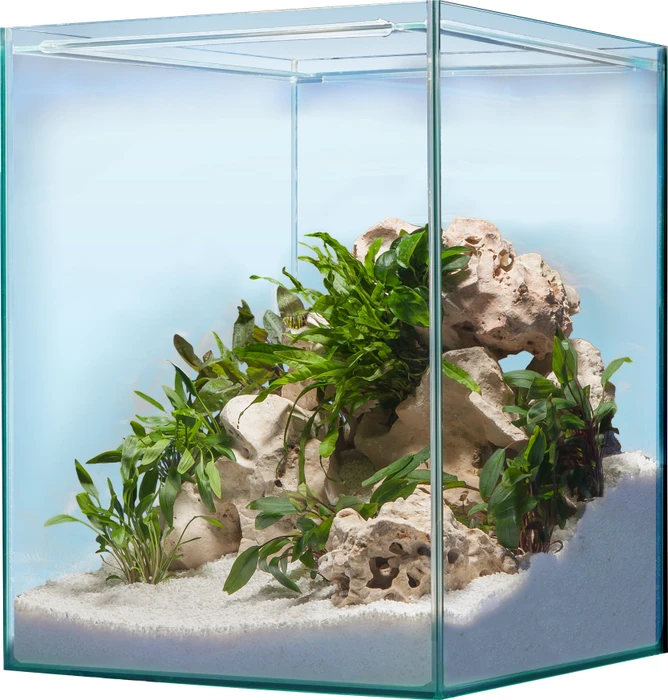sera Scaper Cube 64 Starterset, Aquarium-Set, 64l