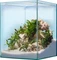 sera Scaper Cube 64 Starterset, Aquarium-Set, 64l Vorschaubild