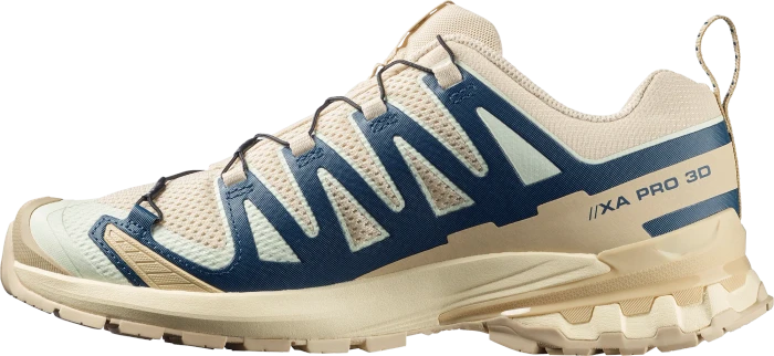 Salomon XA Pro 3D V9 Lifelong eucalyptus/iron (Herren)