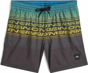 O'Neill Logo Stripe Badeshorts blue heritage (Junior)