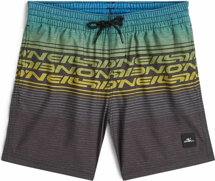 O'Neill Logo Stripe Badeshorts blue heritage (Junior)
