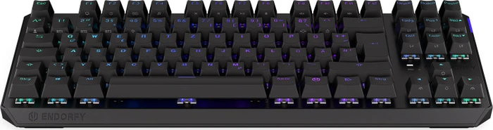 Endorfy Thock TKL Wireless, PBT, LEDs RGB, hot-swap, Kailh Box RED, USB/Bluetooth, DE