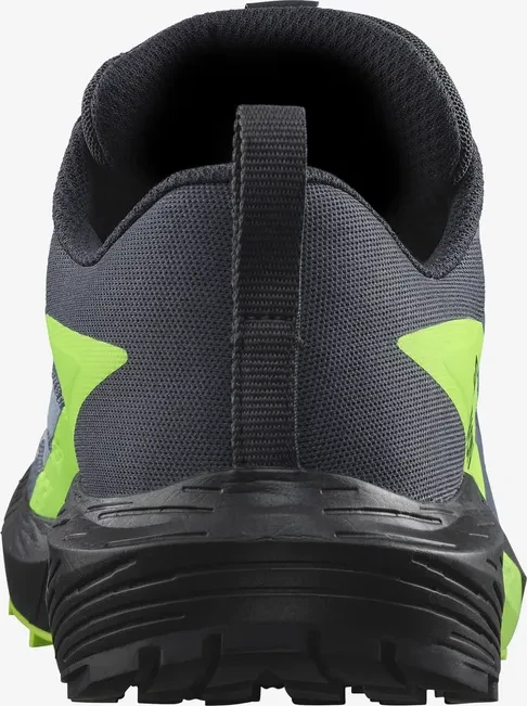 Salomon Sense Ride 5 GTX flint stone/black/green gecko (Herren)
