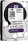Western Digital WD Purple 1TB, 24/7, 512e / 3.5" / SATA 6Gb/s Vorschaubild