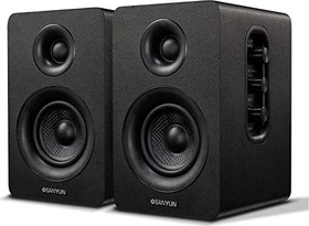 Sanyun SW208 schwarz