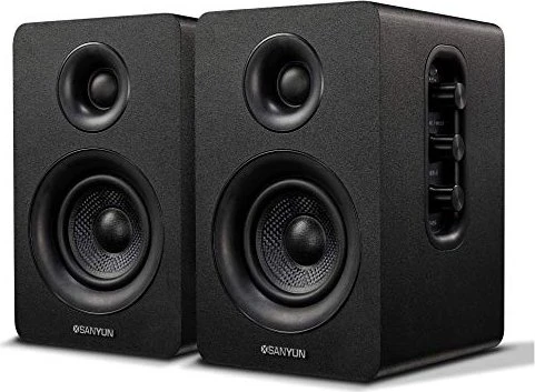 Sanyun SW208 schwarz