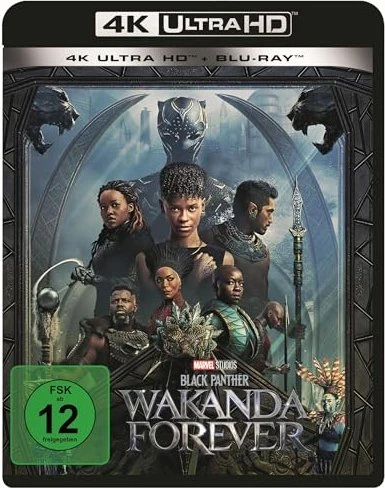 Black Panther - Wakanda Forever