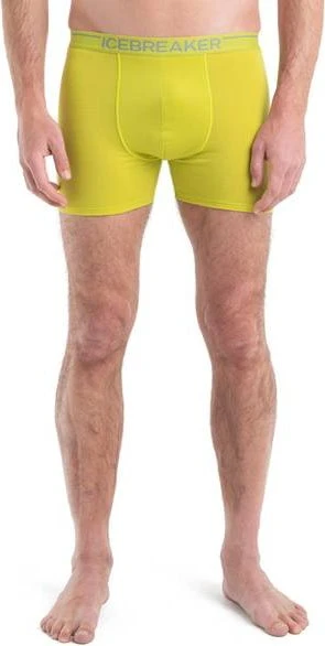 Icebreaker Anatomica Boxer Briefs bio lime (Herren)