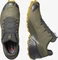 Salomon Speedcross 5 GTX martini olive/peat/arrowwood (Herren) Vorschaubild
