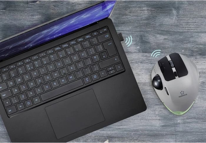 Renkforce RF-WLEM-500 Wireless Trackball Mouse grau/schwarz, USB-A/Bluetooth