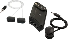 L.R. Baggs HiFi Duet