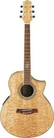 Ibanez EW20ASE