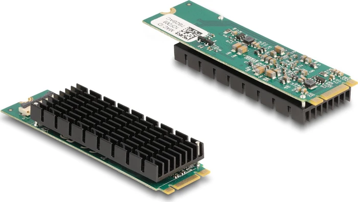 DeLOCK RJ-45 10G LAN-Adapter, M.2/B-M-Key 2280