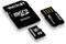 Patriot LX 16GB Kit, UHS-I, Class 10 Vorschaubild