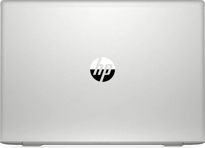 HP ProBook 455 G7, Pike Silver, Ryzen 5 4500U, 8GB RAM, 512GB SSD, DE